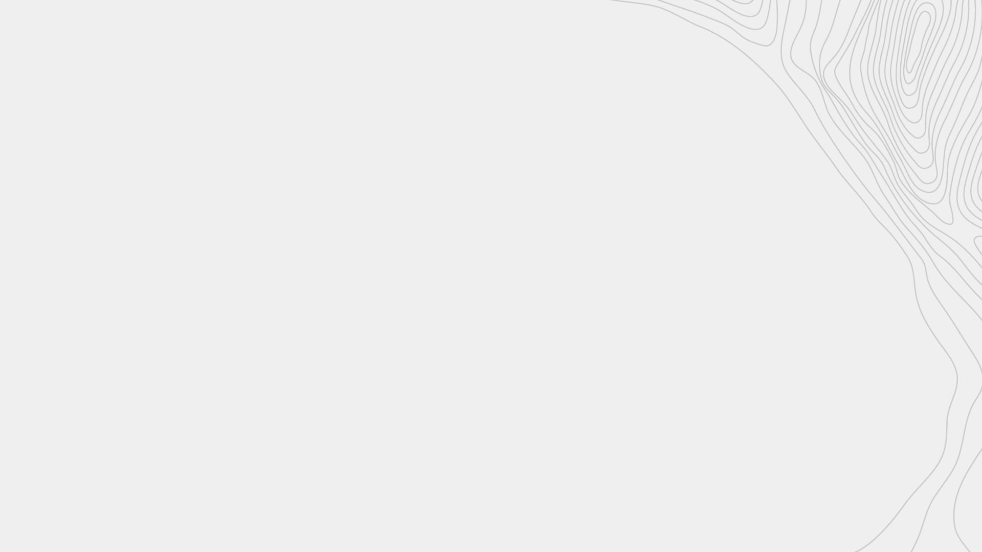 Topographic background in light grey